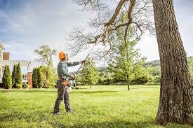 Best Utility Line Clearance  in Farmersville, TX