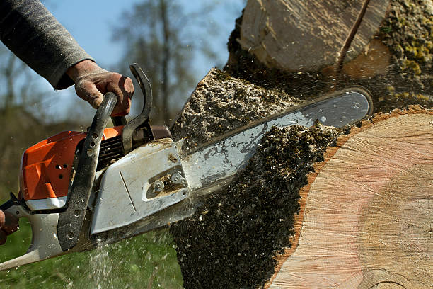 Soil Testing and Treatment in Farmersville, TX